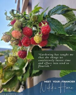 I bring that same mindset to my client relationships.
Because good service isn't a once-off event—it's something built over time.
📞 Looking for a long-term finance partner? Let's connect.
#MeetYourFinancier #ClientRelationships #GardeningLife #VehicleFinance #TrustedAdvisor #CarFinanceSA #VehicleFinanceSpecialist #FinanceMadeSimple #StressFreeFinance #SouthAfricaBusiness #CarUpgrade #NikkiHare #ParadimeFinance #FinanceSupport